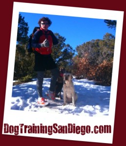 Fitness Dog Running
