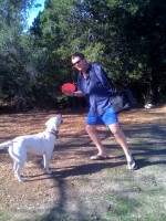 Post image for Off Leash Dog Friendly Parks