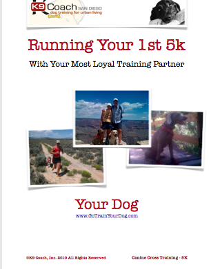 5K Running Dog Program
