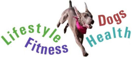 Fitness Dog Training For You