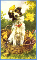 Post image for Easter Dog Tips, Tricks & Hazards