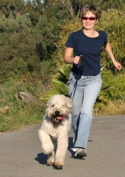 Post image for Blog Paws Promotion