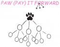 Post image for Pay “Paw” It Forward Day