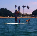 Post image for Water Sports Training with Your Dog