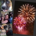 Post image for Dog Friendly 4th of July Tips