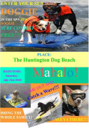Post image for Woofin Walk and Surfing with the Dog