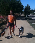 Post image for Leash Training Dog Walking or Running Rewards