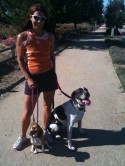 Post image for Dogs Increase Productivity