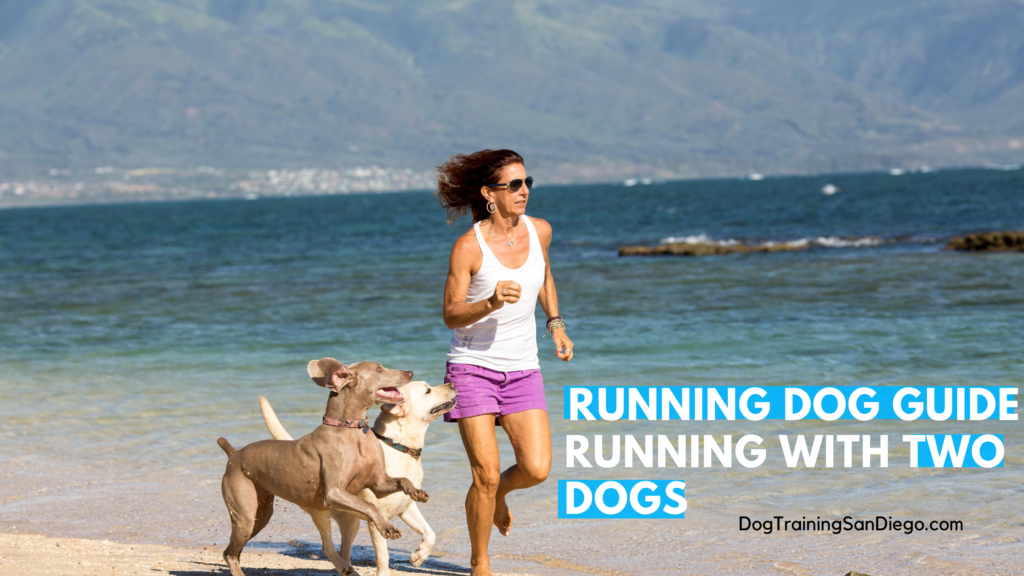 Running with Two Dogs